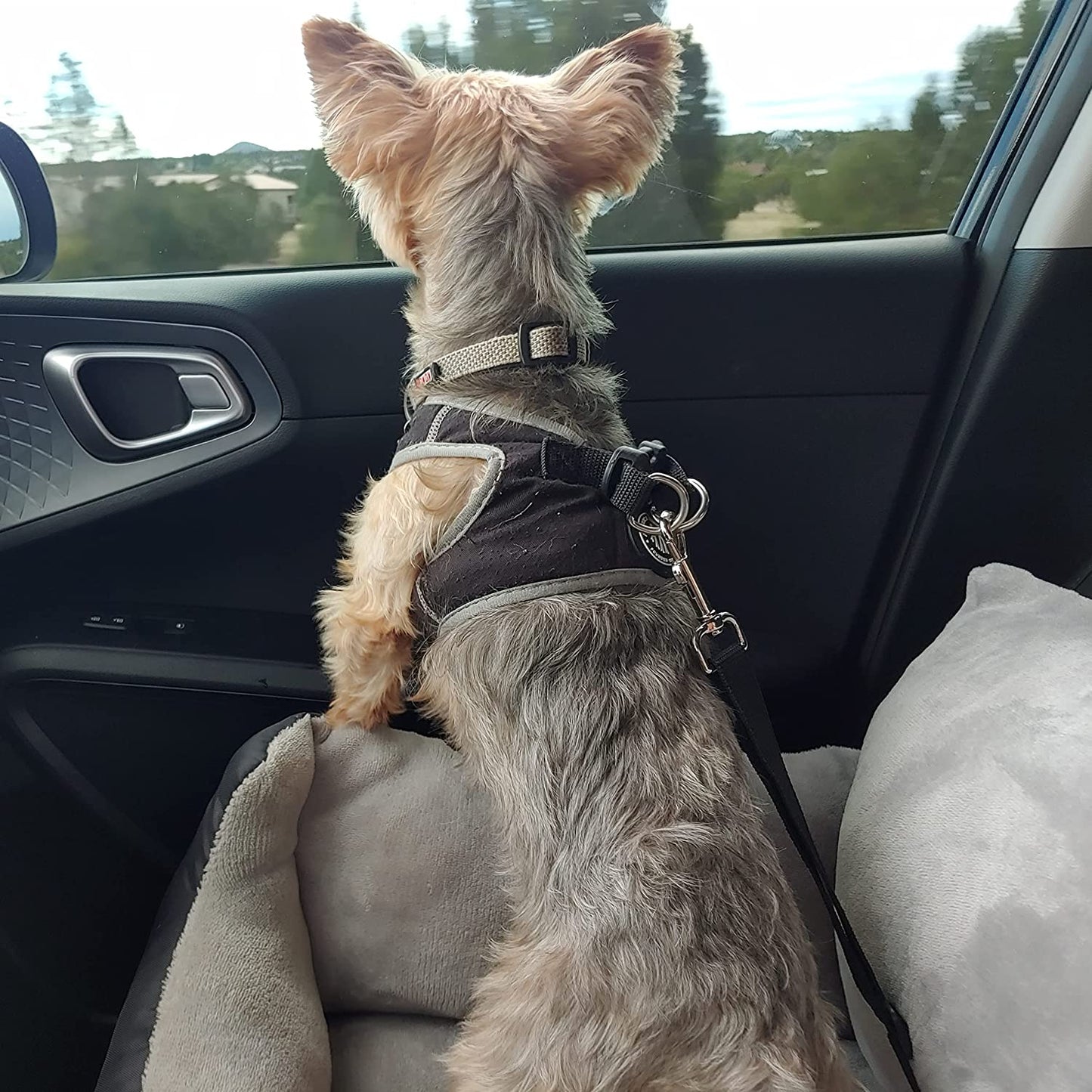 Utotol Premium Dog Car Seat with Safety Belt, Washable Booster for Small Dogs, Anti-Slip Travel Bed for Front or Back Seat, Adjustable Buckle, and Storage Pockets
