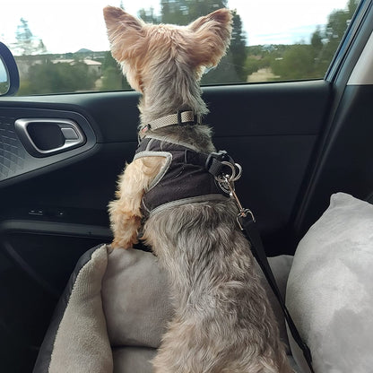 Utotol Premium Dog Car Seat with Safety Belt, Washable Booster for Small Dogs, Anti-Slip Travel Bed for Front or Back Seat, Adjustable Buckle, and Storage Pockets